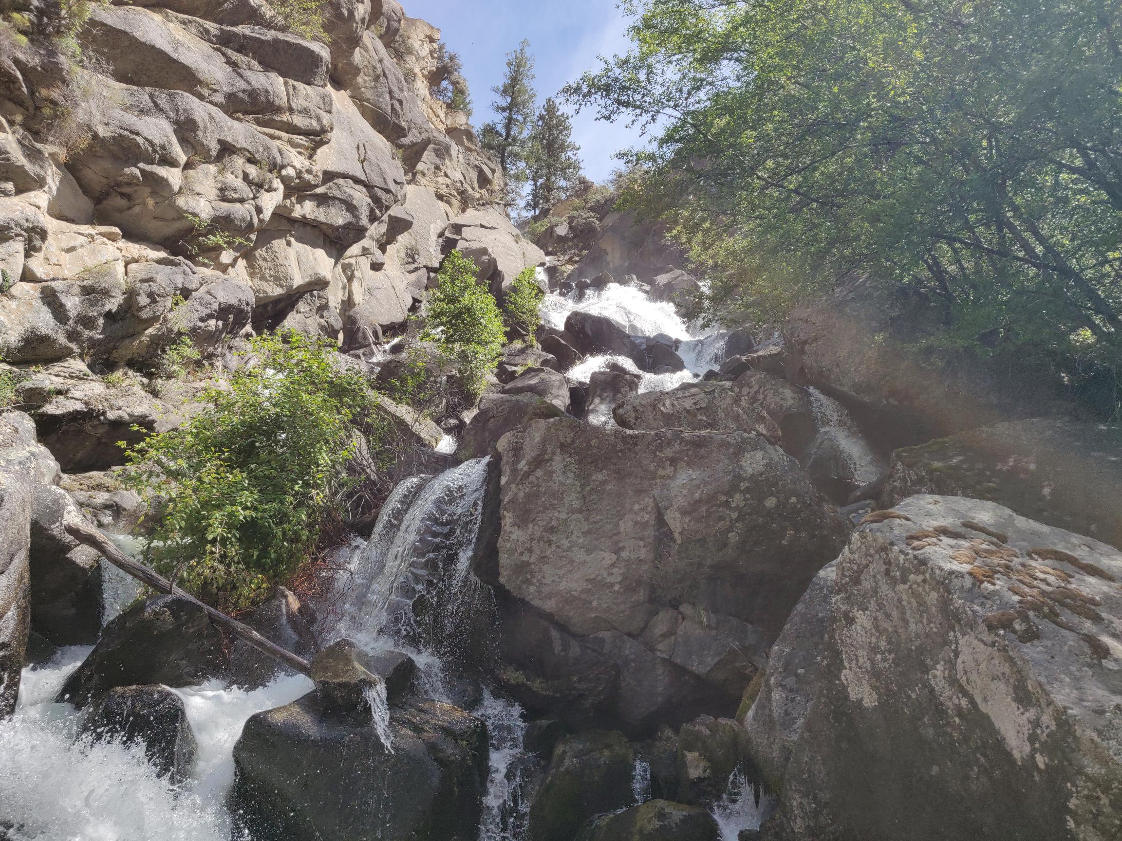 Looking up Waterfall Creek